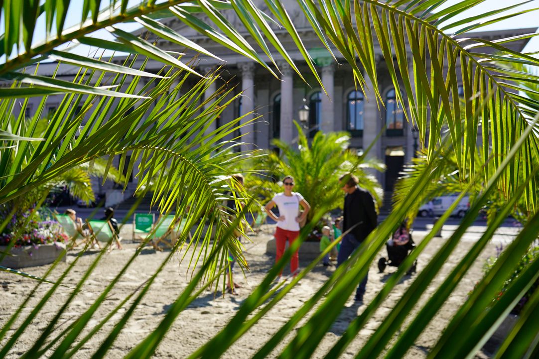 Zweiter Palmengarten bringt Urlaubsgefühl nach München